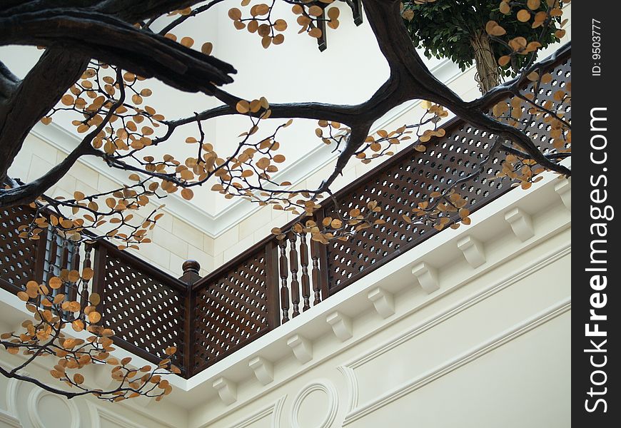 Balcony and tree on a courtyard. Balcony and tree on a courtyard