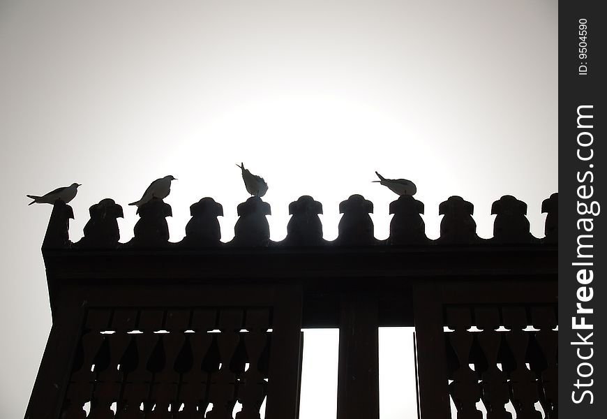 Silhouette of four pigeons in the top of a building. Silhouette of four pigeons in the top of a building