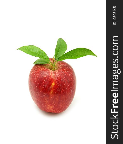 Ripe apple on a white background