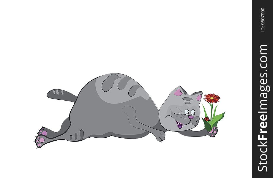 Gray cat watching for insects, while holding the paw in Flower. Gray cat watching for insects, while holding the paw in Flower