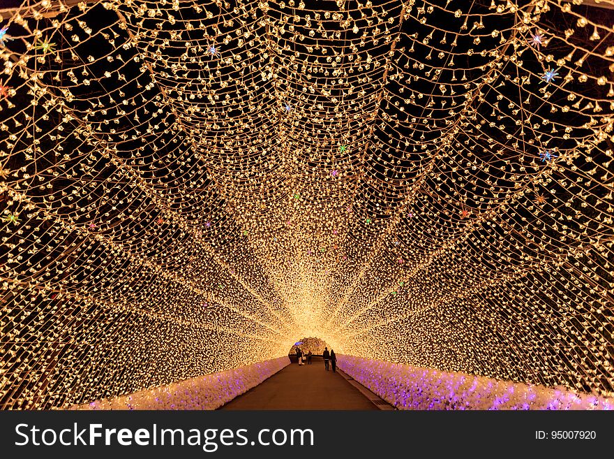 Nabana no Sato garden winter illumination at night, Nagoya, Japan