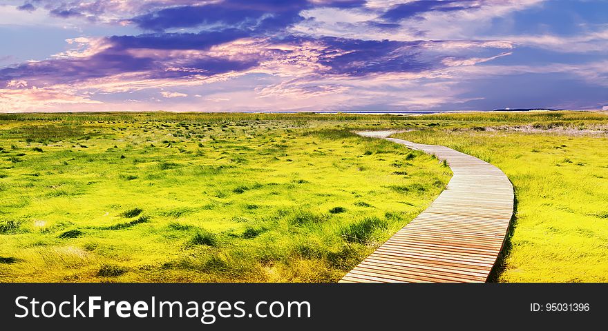 A boardwalk passing through a marsh or wetlands. A boardwalk passing through a marsh or wetlands.