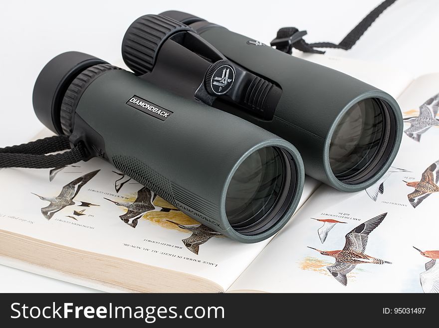 Pair of black binoculars with straps on an open book with bird illustrations, white background. Pair of black binoculars with straps on an open book with bird illustrations, white background.