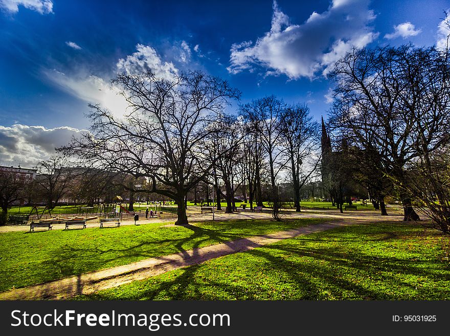 A view of a park with green fields and blue skies. A view of a park with green fields and blue skies.