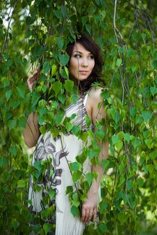 Girl In A Birchwood Stock Photography Girl In A Birchwood Stock Photography