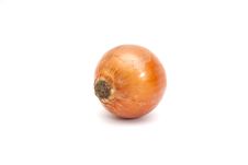 One Onion Isolated Royalty Free Stock Photography One Onion Isolated Royalty Free Stock Photography