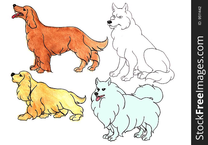 Four dogs on a white background