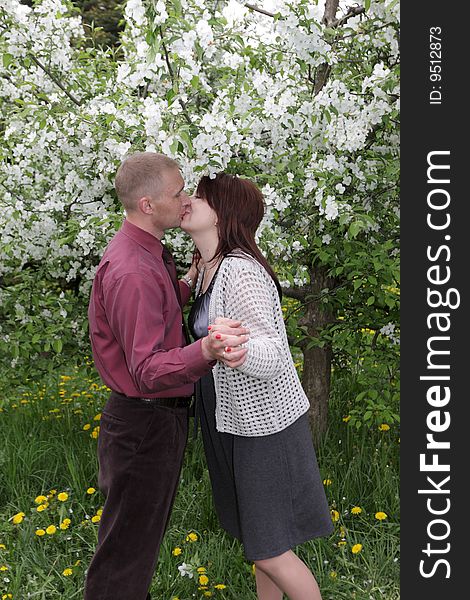 The kiss in a spring park, Russia. The kiss in a spring park, Russia