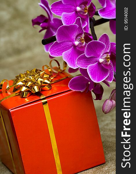 Gift box with purple orchid. Gift box with purple orchid