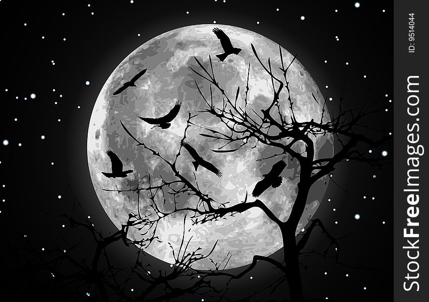 Vector moon illustration and bird silhouettes. Vector moon illustration and bird silhouettes