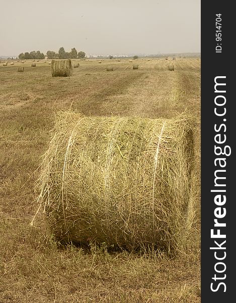 Golden Hay Bale in the countryside on a cloudy day. Golden Hay Bale in the countryside on a cloudy day