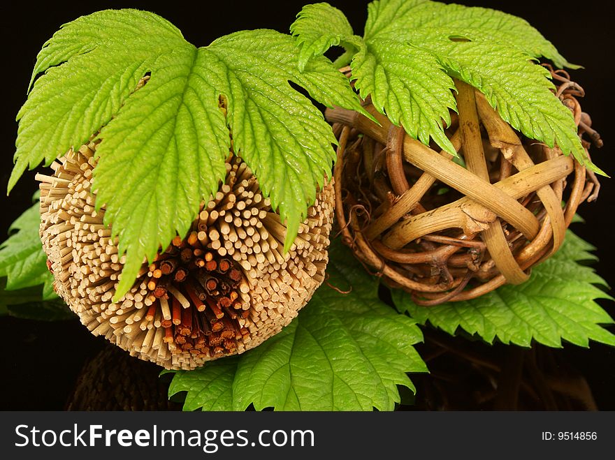 Plant balls isolated on black background. Plant balls isolated on black background.