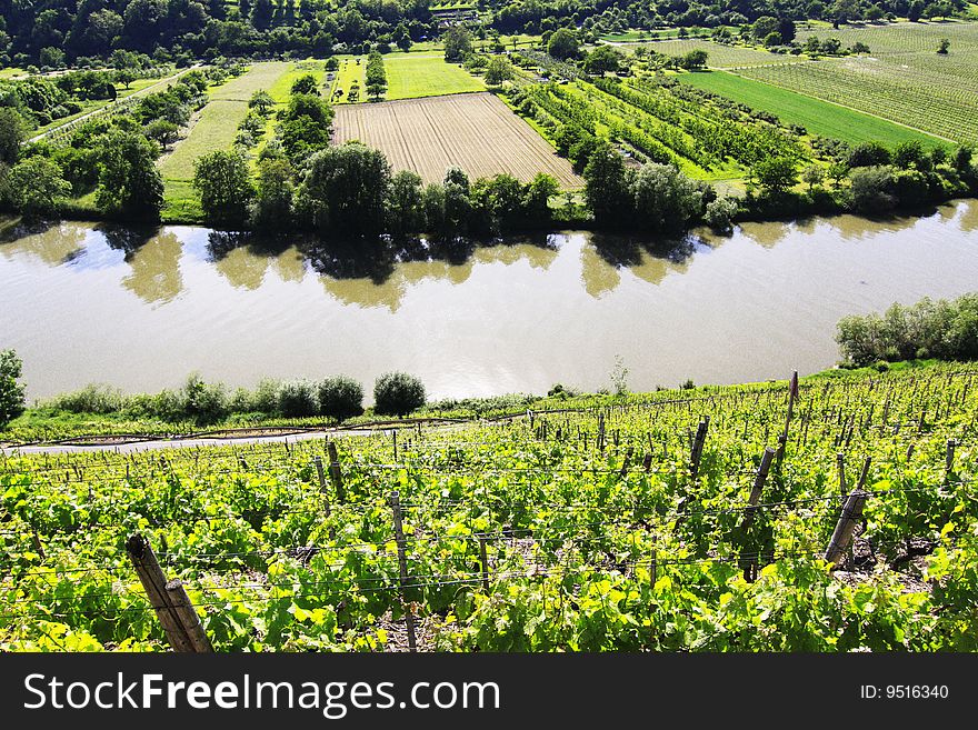 The magnificent view from above - the rock gardens of Hessigheim.