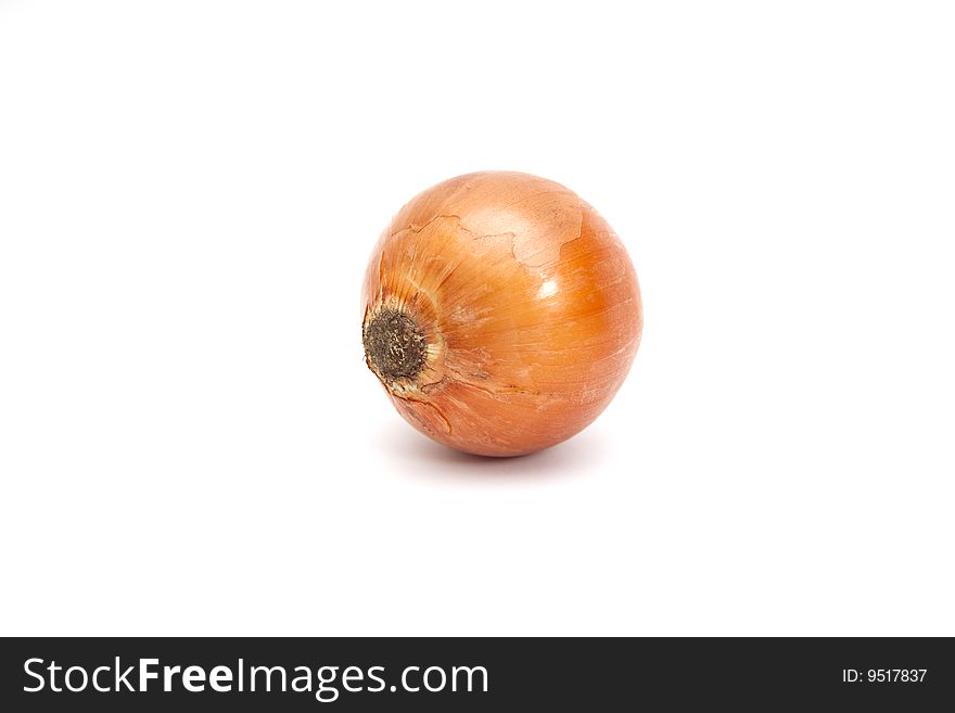One onion isolated on white