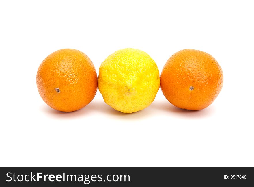 Citrus Fruits Isolated