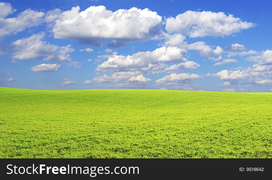 Field on a background of the blue sky