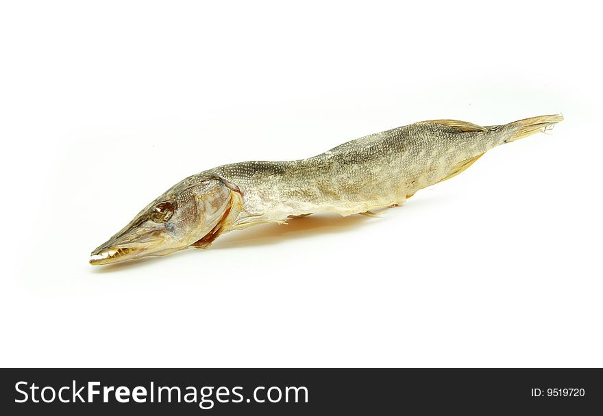 Three sea roach fishes isolated on the white background