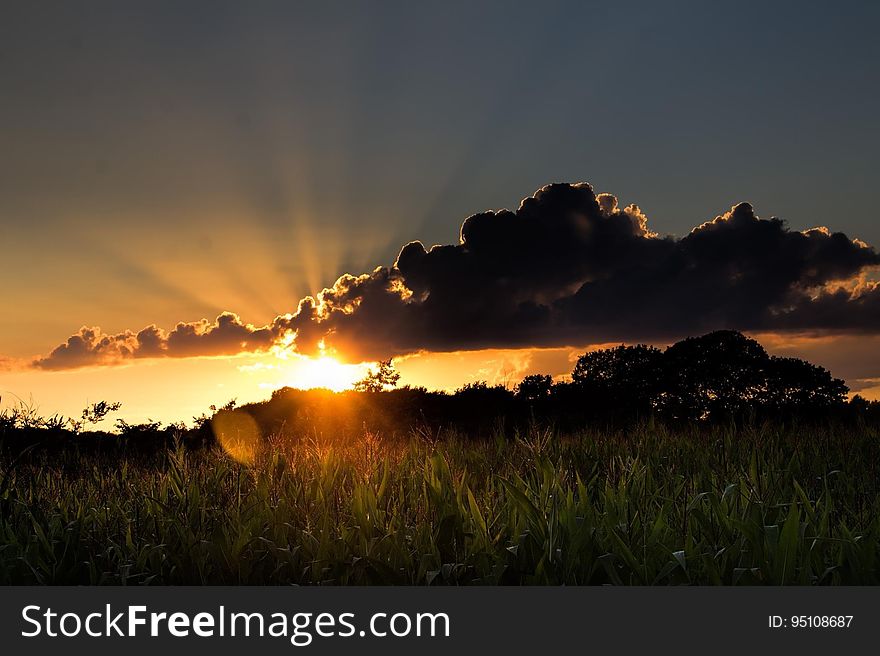 Dramatic gold and orange sunset over fields and trees with an unusual dark cloud formation in the sky above. Dramatic gold and orange sunset over fields and trees with an unusual dark cloud formation in the sky above.