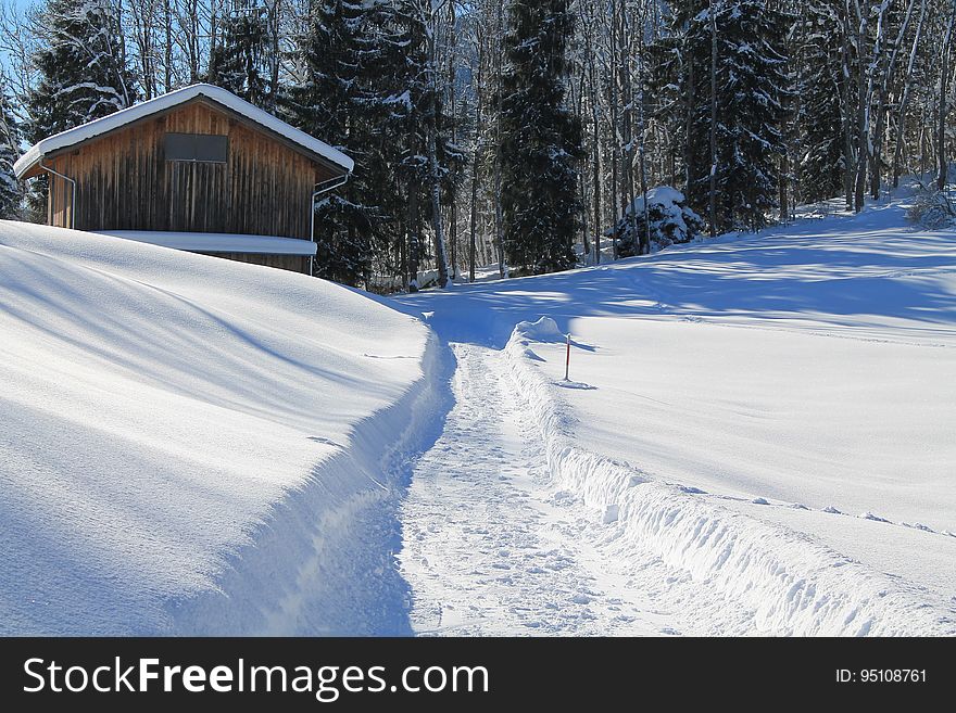 A footpath through a snowy yard in the winter. A footpath through a snowy yard in the winter.