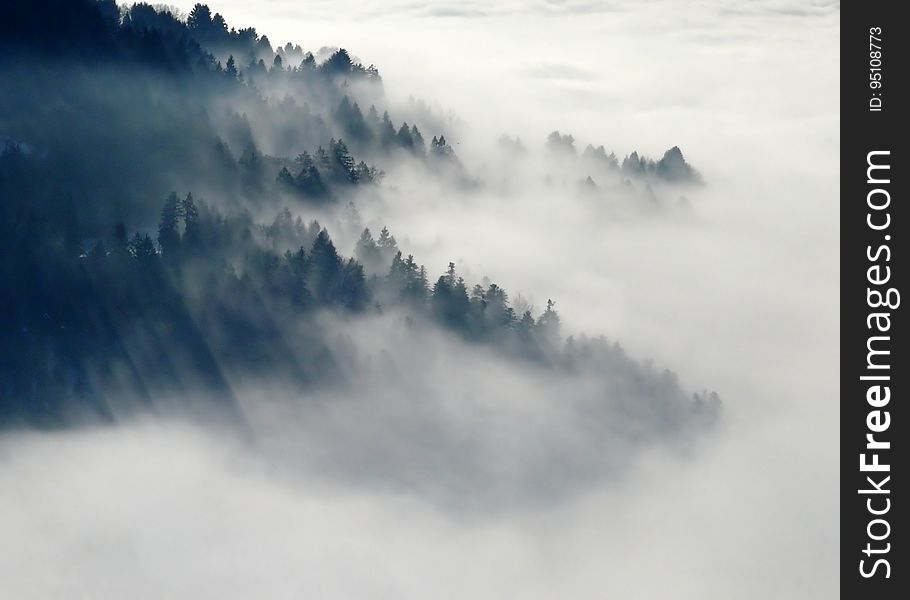 Mountain With Green Leaved Trees Surrounded by Fog during Daytime
