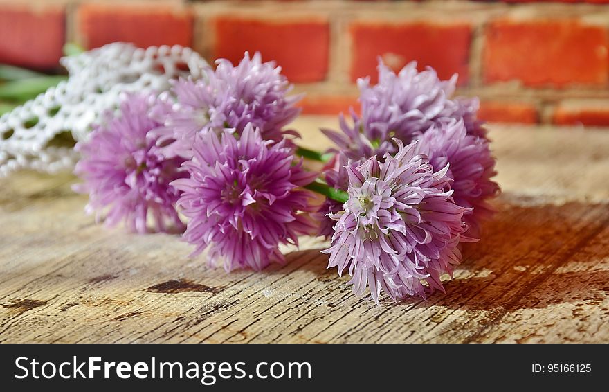 A close up of purple chive flowers on a wooden background.