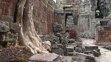 Ta Prohm, Angkor, Cambodia Stock Image Ta Prohm, Angkor, Cambodia Stock Image
