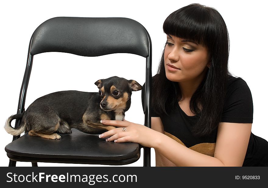 Chihuahua pet and brunette female isolated on white with clipping path
