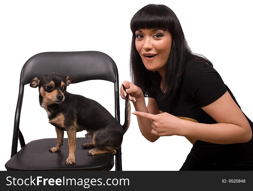 Chihuahua Pet And Brunette Female Isolated