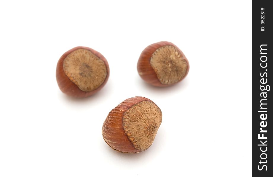 Much hazelnuts isolated on white. Much hazelnuts isolated on white