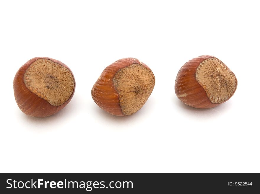 Three hazelnuts isolated on white