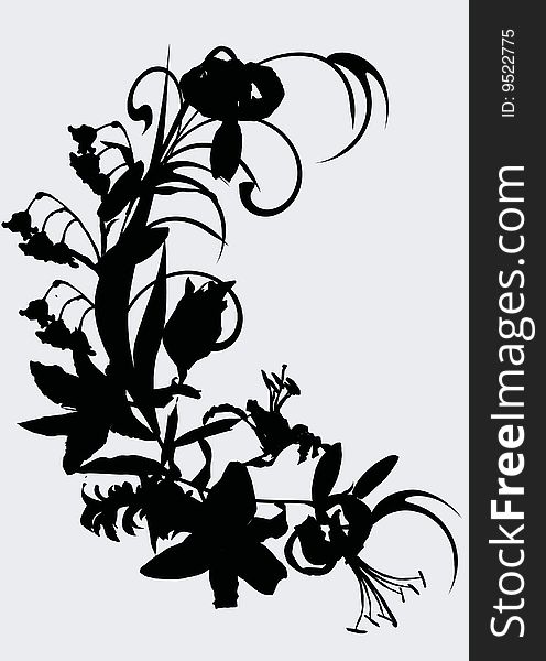 Illustration with lily ornamental silhouette isolated on gray background. Illustration with lily ornamental silhouette isolated on gray background