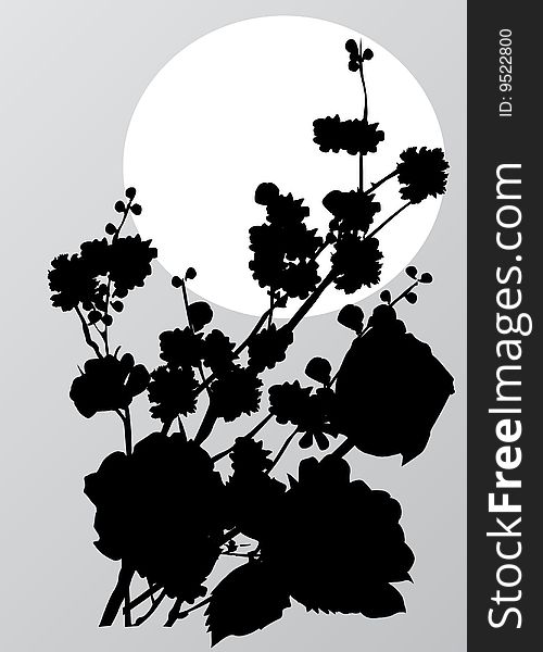 Illustration with cherry tree flowers on gray background. Illustration with cherry tree flowers on gray background