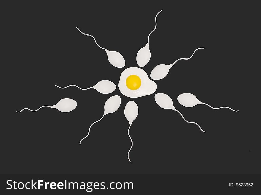 Sperms And Egg