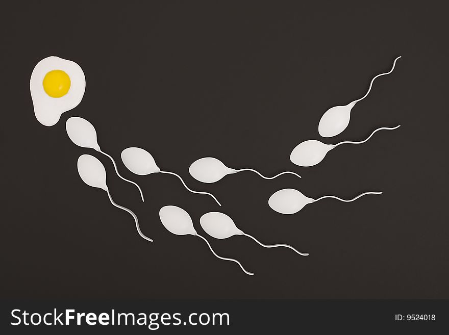 Sperm racing to get to the egg first. Sperm racing to get to the egg first