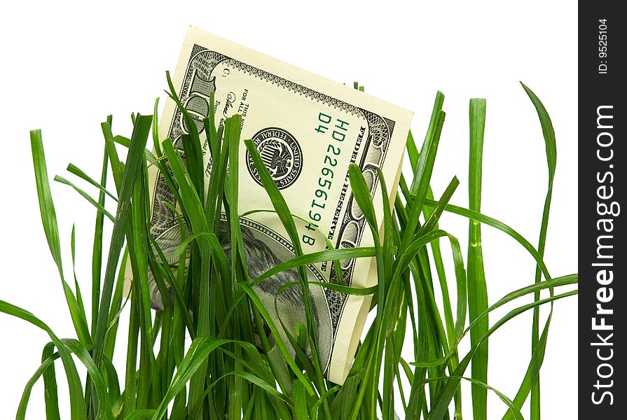 One hundred american dollars in grass on white background. One hundred american dollars in grass on white background
