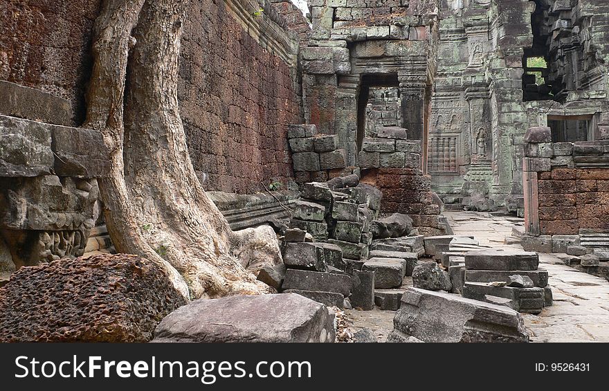 Ta Prohm Temple, Angkor Thom, Cambodia. Ta Prohm Temple, Angkor Thom, Cambodia