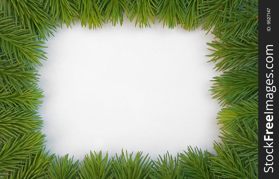 Fresh green fir branches isolated on white background