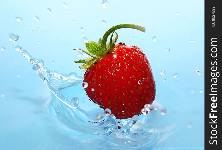 Ripe strawberries falls in water does hits. Ripe strawberries falls in water does hits