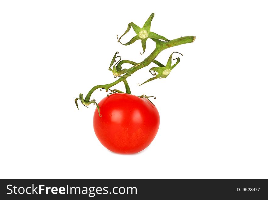 Fresh tomato with green stalk isolated on white background