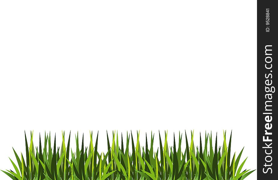 Illustration of fresh green grass