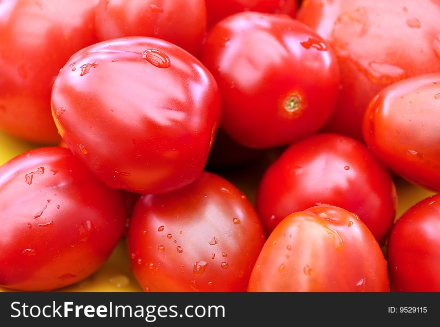 Fresh tomatoes with water drops