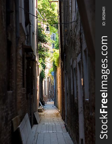 Street Lane in Venice in summer with blue sky