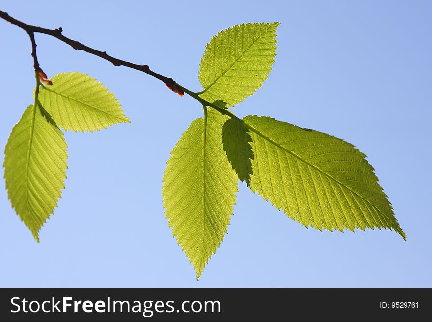 Green sheet against the dark blue sky