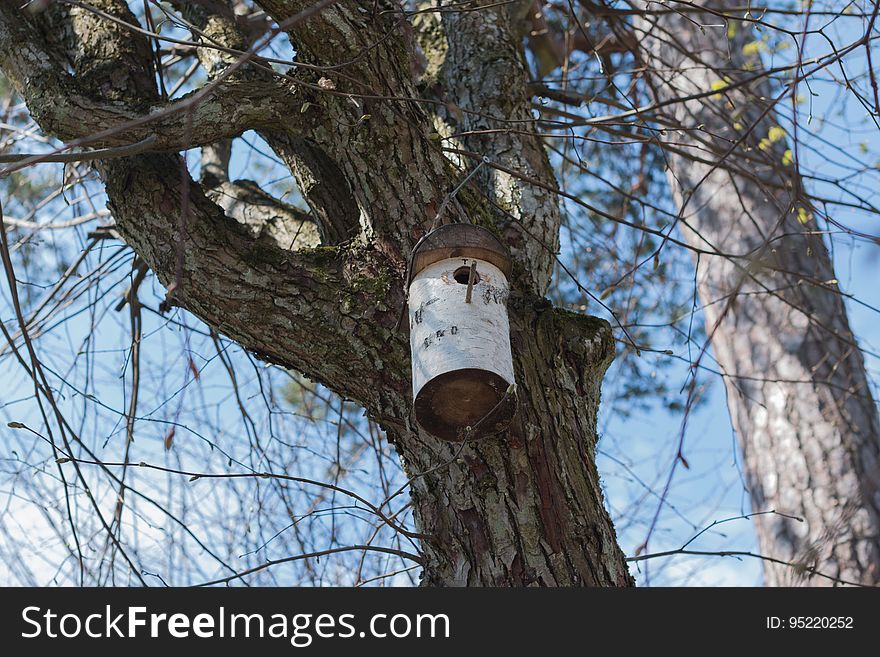 Nest box on a tree.