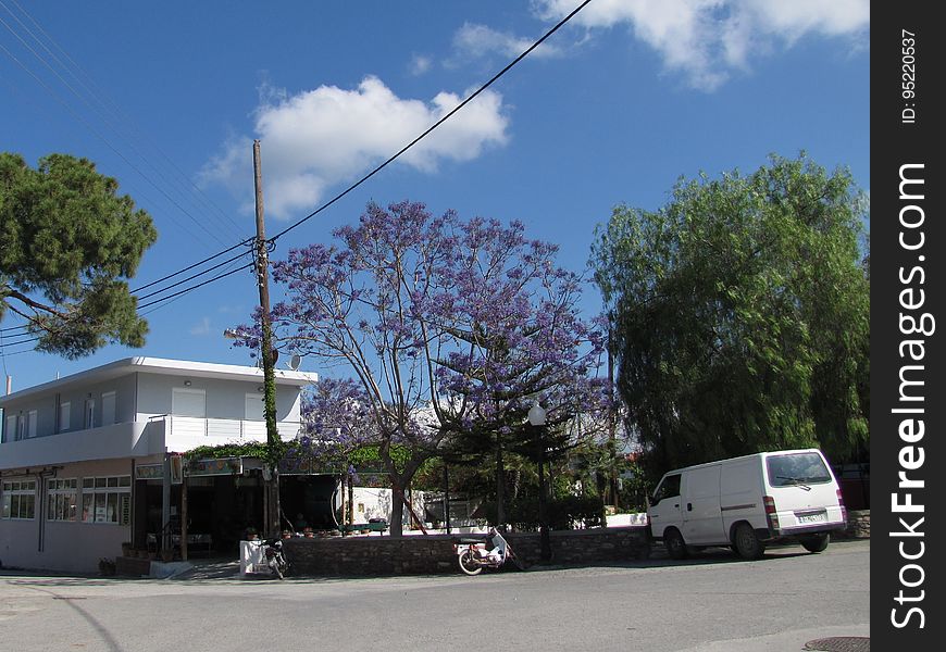 Cloud, Sky, Plant, Vehicle