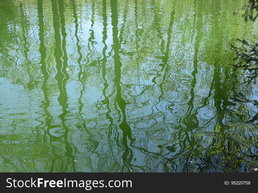 Water Texture With Distorted Green Reflections