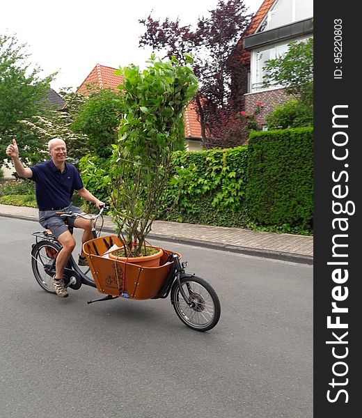 IMG-20170627- Tree On Cargo Bike