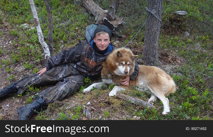 Plant, Dog, Hat, Military Camouflage