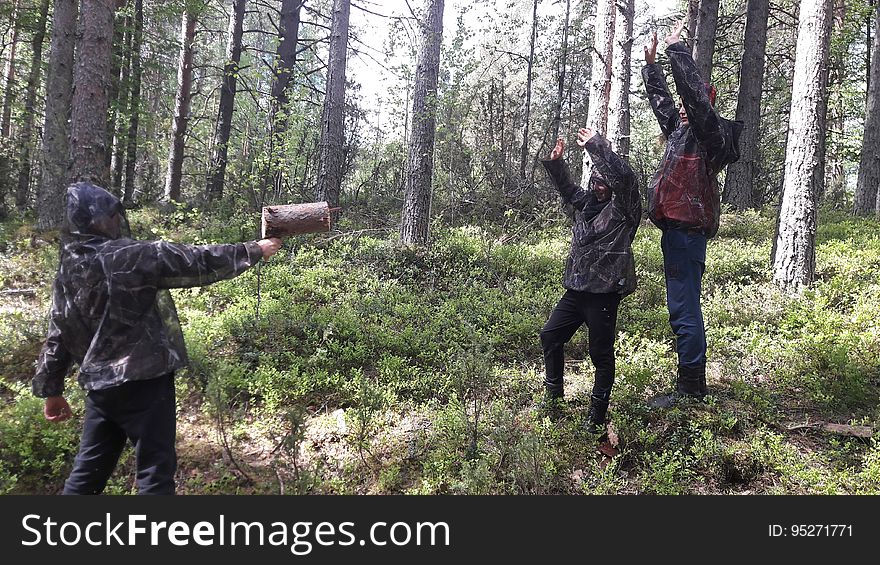 Plant, Trousers, Plant Community, Tree