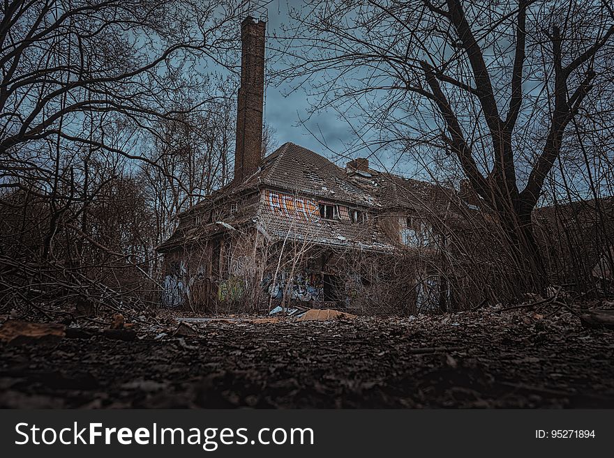 Eerie abandoned building surrounded by trees with bare branches at dusk.